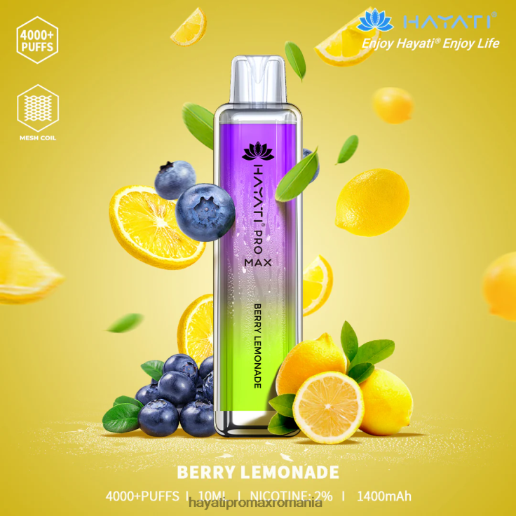 limonada cu fructe de padure